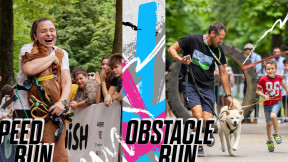 CANICROSS OBSTACLE RUN & SPEED RUN | SPORTS FESTIVAL