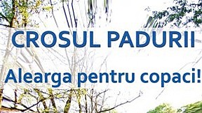 Crosul Padurii ~ 2010