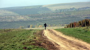 La Petrovaselo in vie 2026