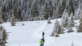 Scorilo Winter Vertical ~ 2026