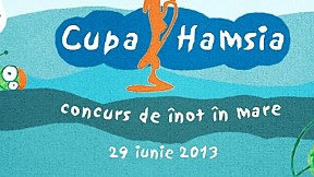 Cupa Hamsia ~ 2013